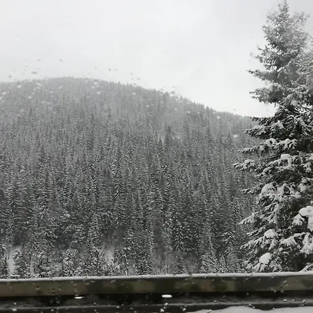 Jelena * Nova Varoš