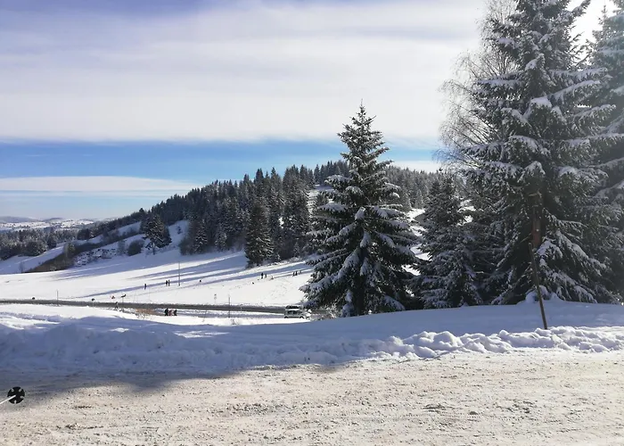 Jelena 公寓 Nova Varoš